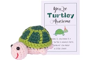 MuMyer Funny Positive Turtle Knitting Doll, Handmade Emotional Support Crochet Turtle Animal Gift Car Ornament with Wooden Base Positive Affirmation Card for Car Home Office
