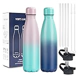 Insulated Water Bottle,2 Pack-17oz Stainless Steel