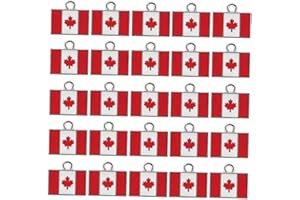 NOLITOY 25pcs Canadian Flag Pendants Alloy Maple Leaf Charms for Diy Bracelet Jewelry Making Travel Souvenir Accessories 17mm