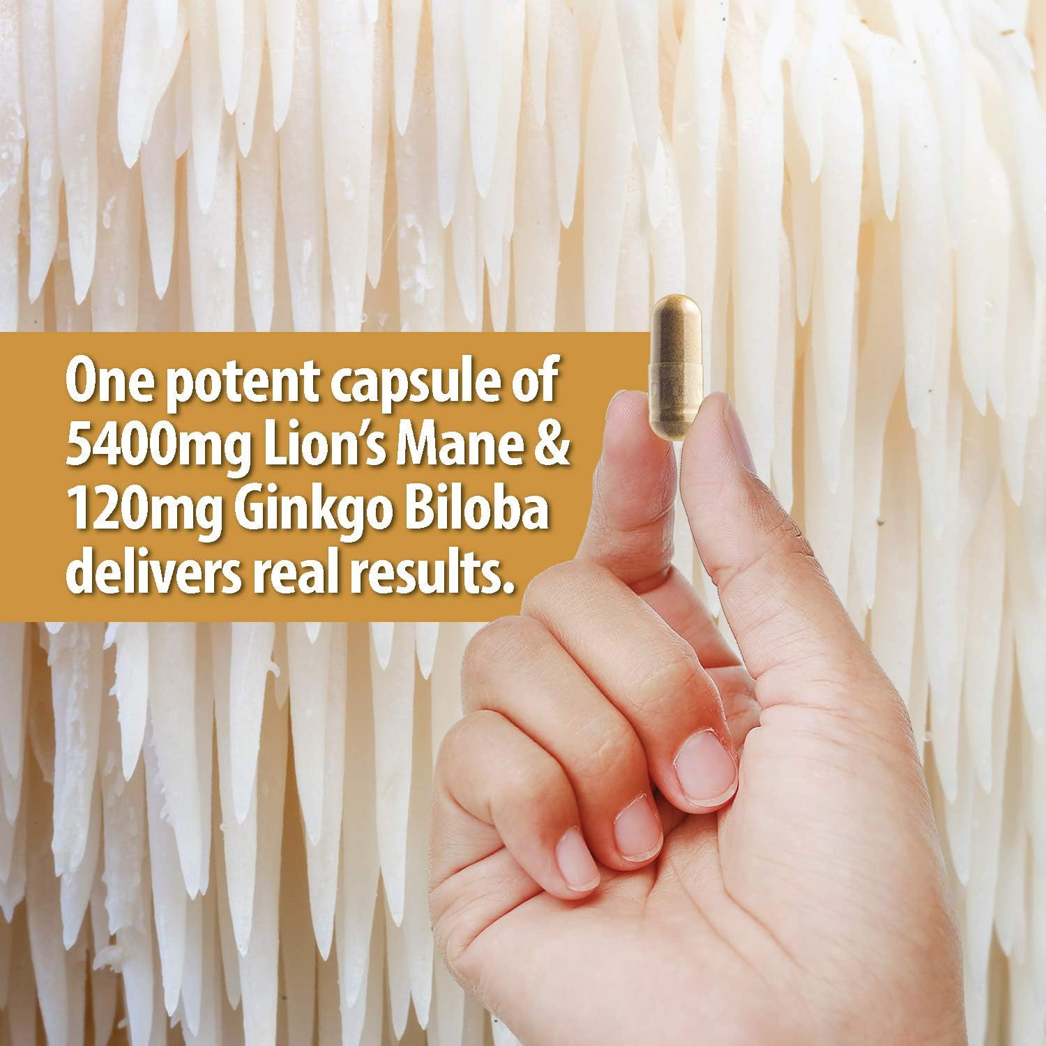 Organic Lions Mane Mushroom Capsules 5400mg, Ginkgo Biloba 120mg - Lion's Mane Ginko Biloba Memory Supplement for Nootropic Brain & Mental Clarity, Ginko Smart Maximum Focus and Memory, 2-Month Supply: Health & Personal Care