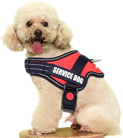 dog restraint jacket