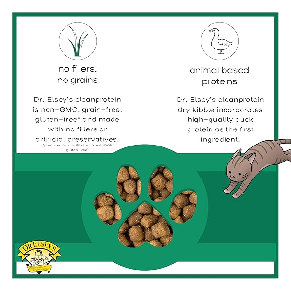 DR. ELSEY’S CLEANPROTEIN DRY KIBBLE DUCK 6.6 LB BAG