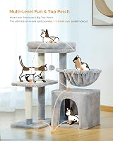 PAWZ Road Small Cat Tree 73cm Indoor Activity Tower Grey with Scratching Posts view 7