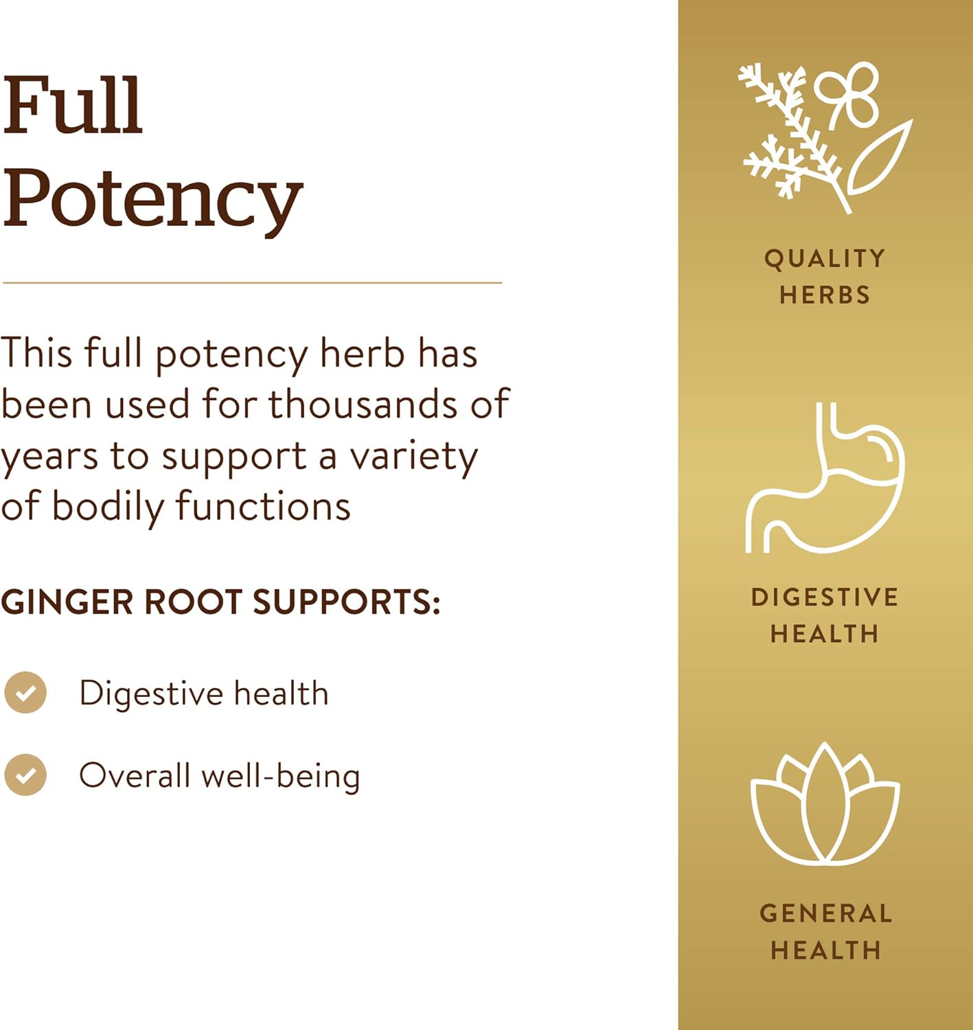 Solgar - Standardized Full Potency Ginger Root Extract, 60 Vegetable Capsules: Health & Personal Care