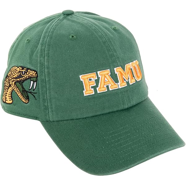 Florida A&M Rattlers Apparel & Gear | Available at DICK'S