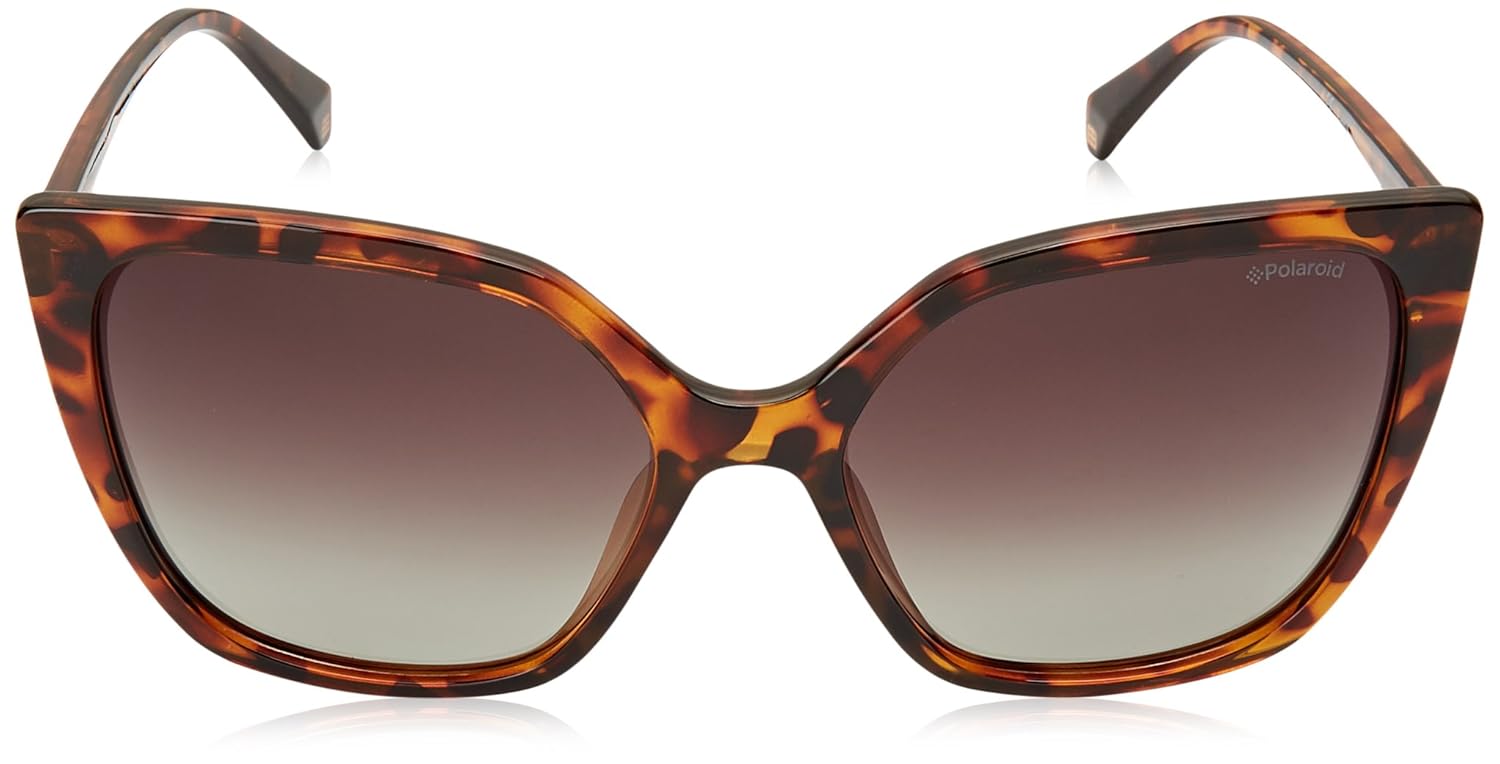 lunettes polaroid polarisées