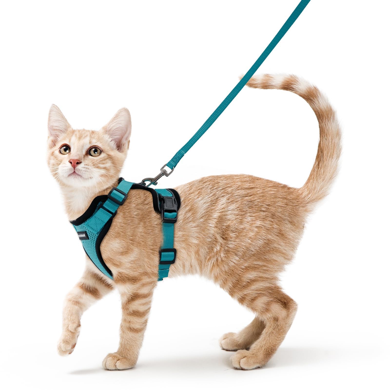 Photo 1 of rabbitgoo Cat Harness and Leash for Walking, Escape Proof Soft Adjustable Vest Harnesses for Cats, Easy Control Breathable Reflective Strips Jacket, Teal, S