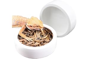 OMEM (Pack of 2) Worm Dish Mini Reptile Food Bowl Ceramics Made Mealworms Bowls Anti-Escape for Lizard Gecko Leopard Bearded 