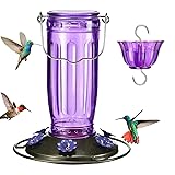 Kingsyard Glass Hummingbird Feeder for Outdoors