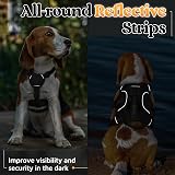 rabbitgoo Escape-Proof Small Dog Harness with Handle Reflective Black S view 9
