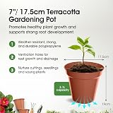 Whitefurze G04020 Garden Pot 17.5cm Terracotta - 3 L Capacity view 2