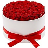 Otuo 27 Piece Preserved Roses in a Box - Forever Flowers for Delivery Prime, Eternal Roses Mothers Gifts for Mom, Valentine's Day, Wife Anniversary Birthday Gifts for Women(Red)