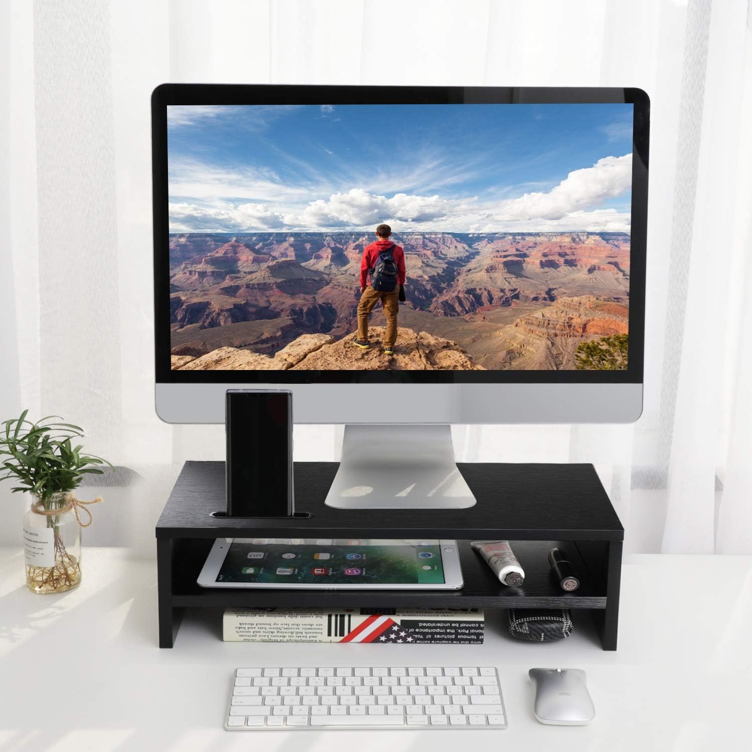 AMERIERGO Monitor Stand Riser - 16.5 Inch 2 Tier Desk Organizer Stand for Laptop Computer, Desktop Printer Stand with Phone Holder and Cable Management, Versatile as Storage Shelf & Screen Holder : Office Products