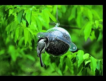 Duncraft Dc65001 Klassische Satellite Bird Feeder Amazon De Haustier