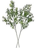 Fake Plants Artificial Plant Simulation Thorn
