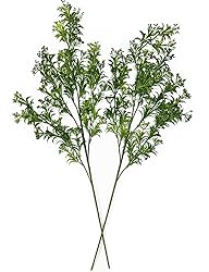 Fake Plants Artificial Plant Simulation Thorn