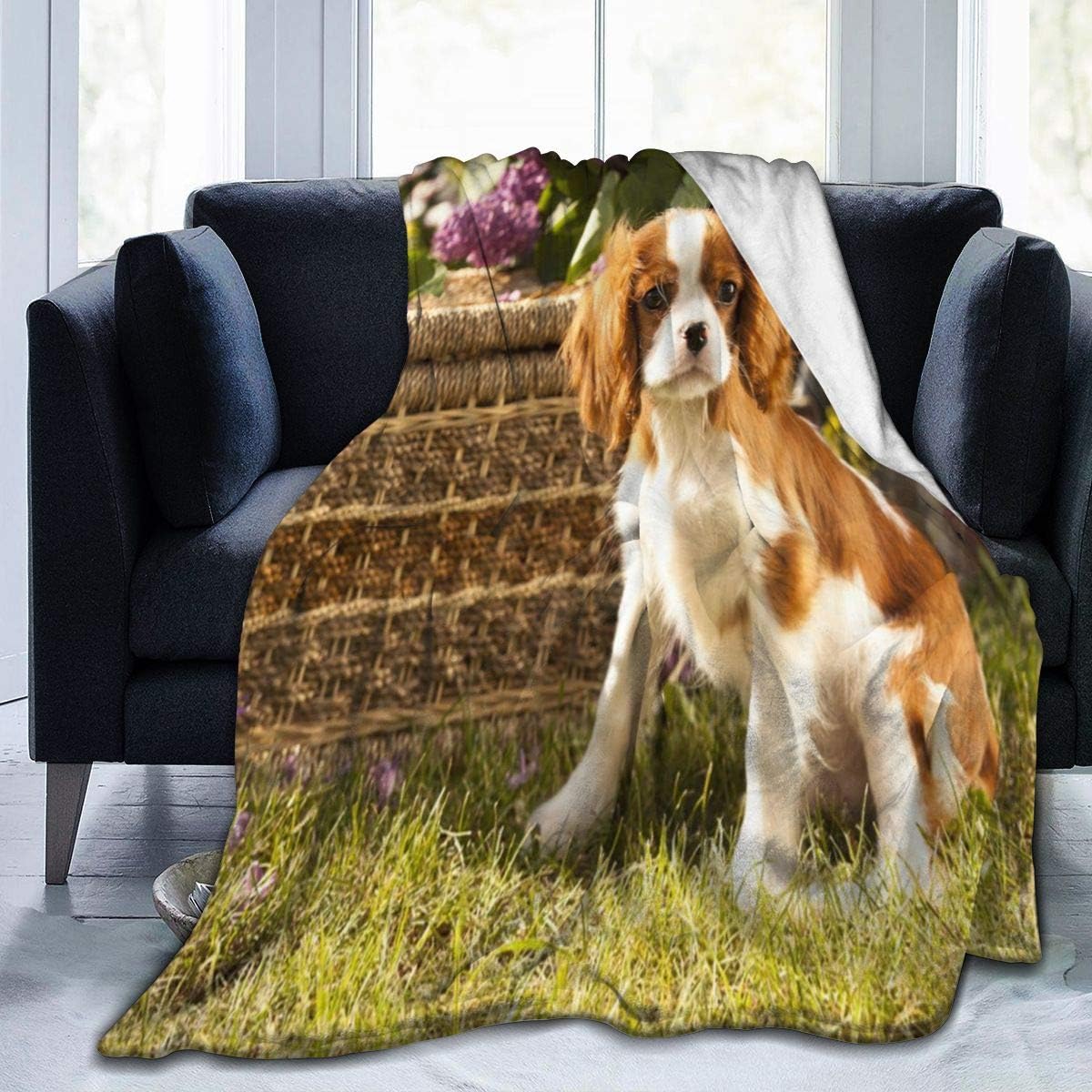 cavalier king charles spaniel with kids