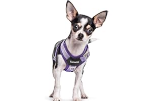 Tacwild No Pull Dog Harness - Adjustable Reflective Dog Vest with Metal Snap, Soft Breathable Mesh No Choke Puppy Harness, Easy to Put on & Take Off (Purple-S)