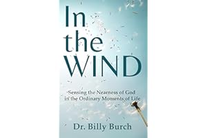 In the Wind: Sensing the Nearness of God in the Ordinary Moments of Life (Sensing God Series)
