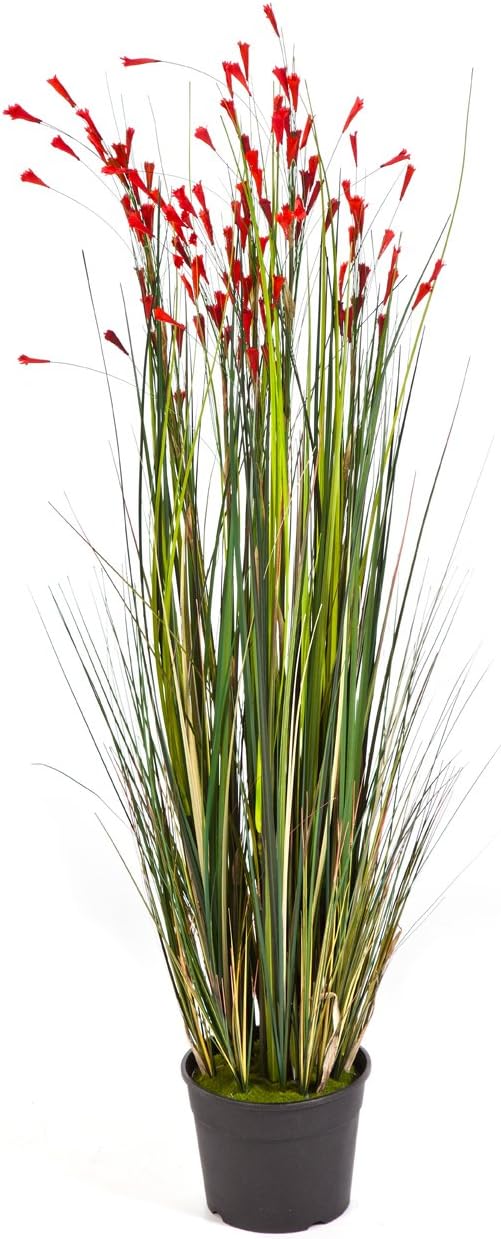 Artificial 5ft Coral Grass Plant tipped with orangered silk flowers