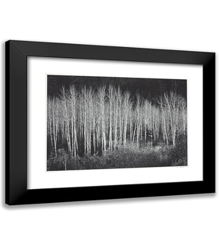 Amazon.com: ArtDirect Ansel Adams 23x20 Black Modern Framed Art