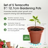 Whitefurze Whitefurze 12.7cm Garden Pot Terracotta Set of 5 view 2