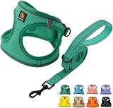 BELLA & PAL Dog Harness and Leash Set XXS Green Step-In Breathable Mesh