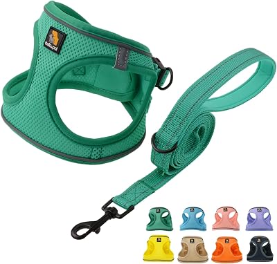 BELLA & PAL Dog Harness and Leash Set XXS Green Step-In Breathable Mesh