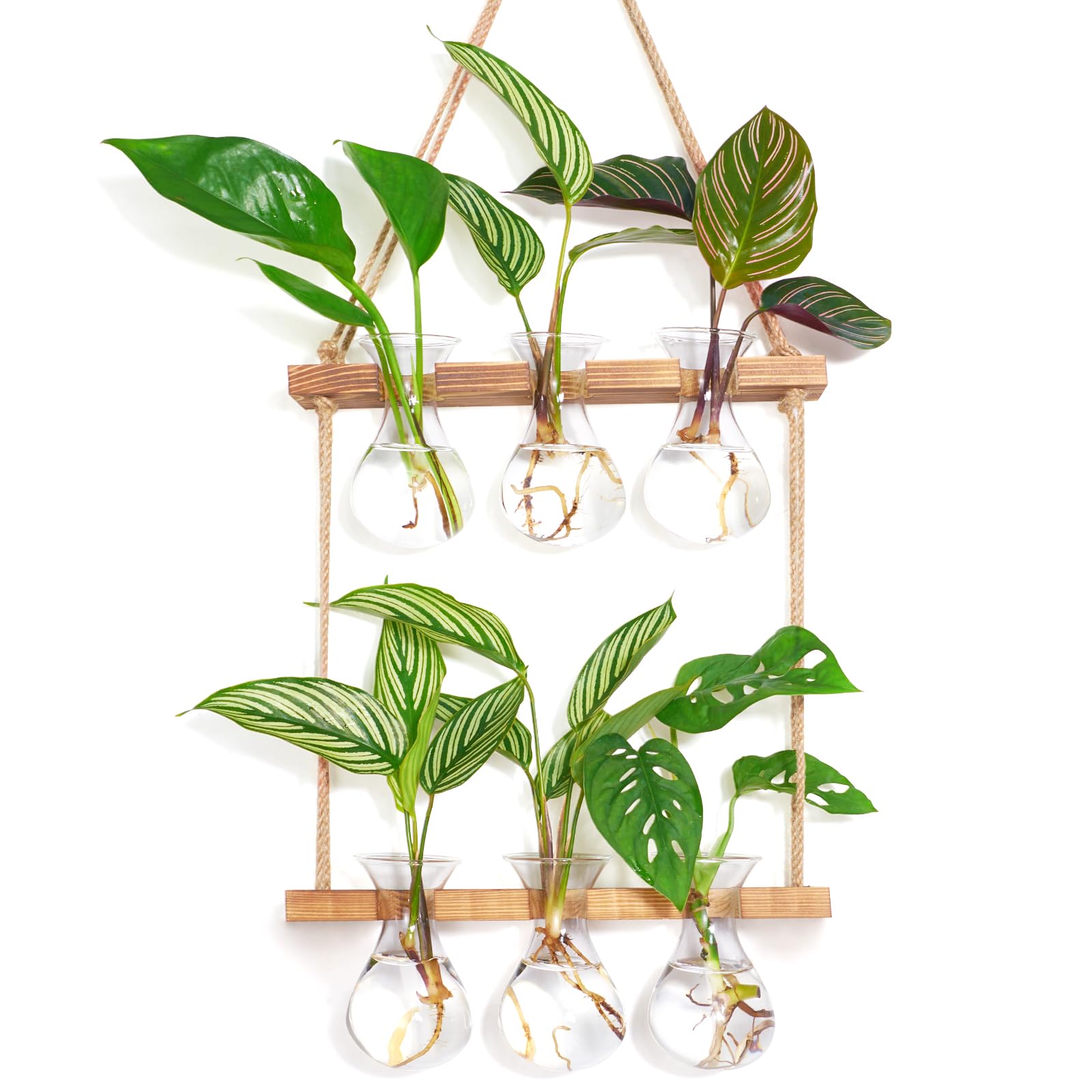 XXXFLOWER Wall Hanging Plant Propagation Station with Wooden Stand 3 Bulb Vase 2 Tiers Glass Planter Stations for Hydroponic Plant Cuttings Home Garden Wedding Decoration