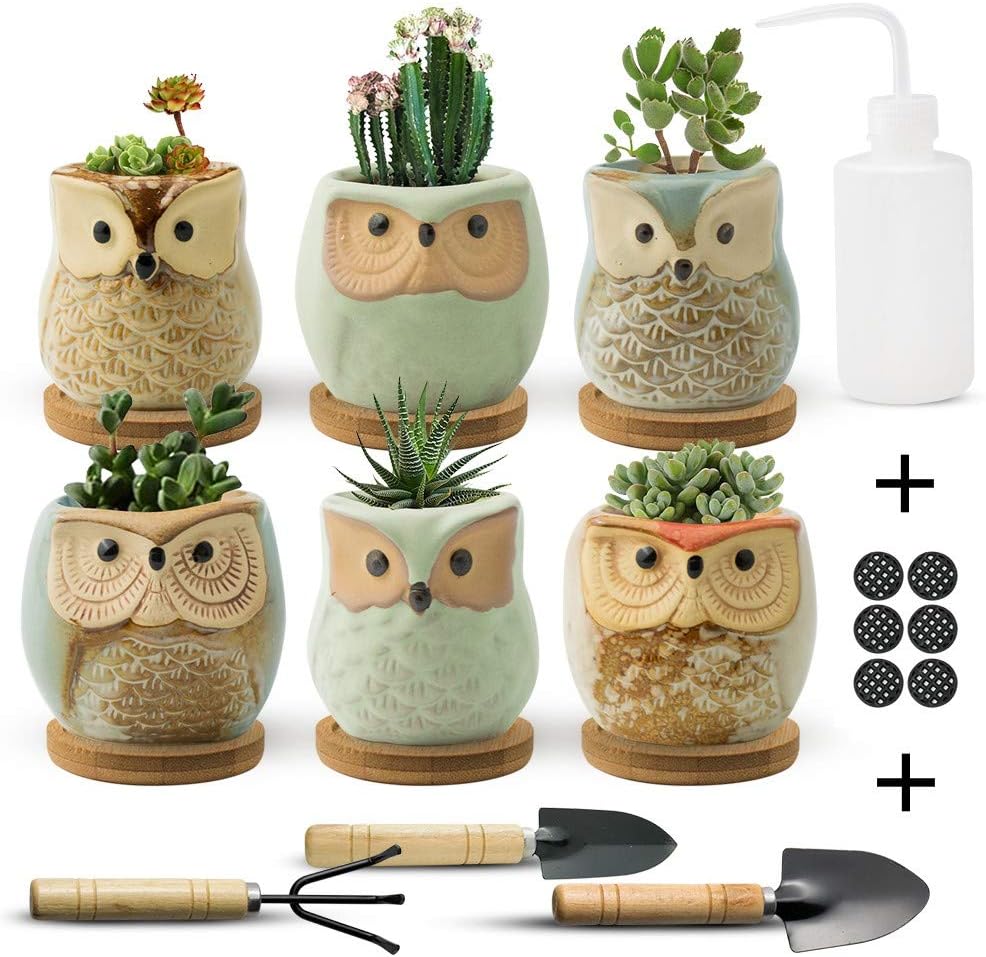 FairyLavie Succulent Pots, 2.5'' Owl Planter Owl Pot, Small Pots for Plants Cute Small Planter with Accessories, Great for Home Decor and Ideal Gift, Set of 6