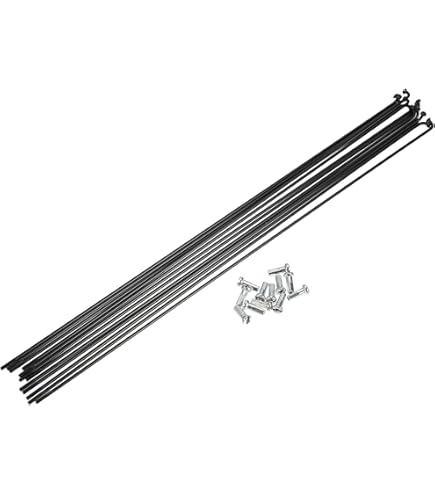 Raggio DT Swiss Aerolite J-Bend 292 Mm - Leggero E Aerodinamico Per La Tua Bici