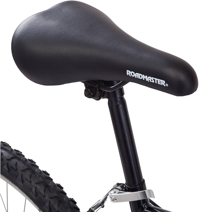 roadmaster sport bike