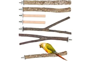 IOUALEY 6 PCS Natural Wood Bird Perch Parrot Stand Fork Toys, Hanging Multi-Branch Perch Bird Cage Accessories for Small Parakeets, Conures, Cockatiels, Budgies, Finches, 3 Types
