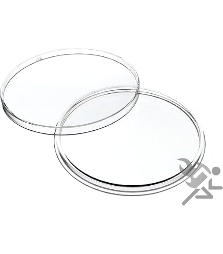 Coin Capsules: Coin Collecting Supplies | Coin Collecting Accessories