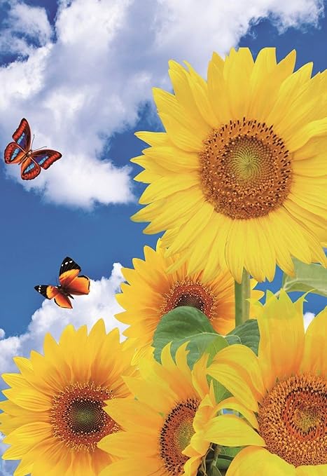 Amazon Com Jagfhhs Custom Garden Flag Spring Sunflower Butterfly