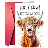 Awsaccy Highland Cow Birthday Card, Funny Humorous Happy Bday Greeting Card Gifts HOLY COW IT'S YOUR BIRTHDAY for Cow Lover Women Men Him Her Husband Wife Friends Family Colleagues