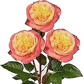 Arborus Artificial Roses - Set of 3 Long-Stem Real Touch Silk Roses, 24.4" Faux Flowers for Home Decor, Wedding Bouquets, Centerpieces & Floral Arrangements – Lifelike Yellow Pink Fake Roses