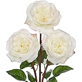 Arborus Artificial Roses - Set of 3 Long-Stem Real Touch Silk Roses, 24.4" Faux Flowers for Home Decor, Wedding Bouquets, Centerpieces & Floral Arrangements – Lifelike Cream Fake Roses