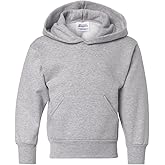 Hanes Big Boys' ComfortBlend EcoSmart Pullover Hoodie_Light Steel_S