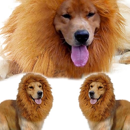 Cheap Cat Mane Costume, find Cat Mane Costume deals on line at ...