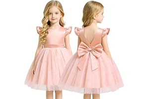 AGQT Baby Girls Tutu Dress Girl Flower Dress Tulle Dress for Wedding First Communion Birthday Party Dress 3T-9T