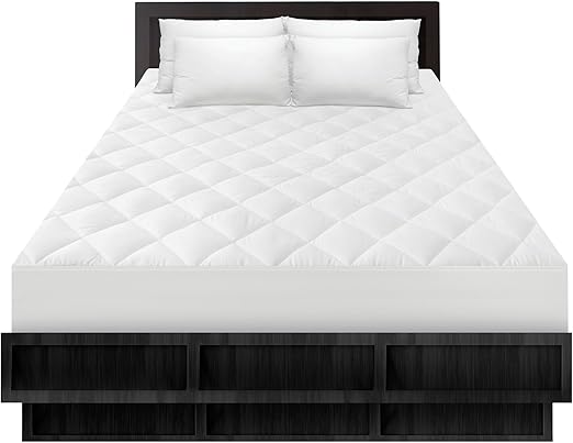 Amazon Com Biopedic Zip N Clean Mattress Encasement With Pillow