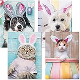 Current Picture This Dog & Cat Easter Value Greeting Card Set - Value Pack of 8 Cards for Kids & Adults With White Envelopes, 4 Design Prints, Large 5" x 7" Greetings
