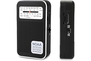 4 Bands AM FM SW WB Emergency Weather Radio, Dual Power Rechargeable & AA Battery Operated, Portable Transistor Radio with DS