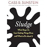 Sludge: What Stops Us from Getting Things Done and What to Do about It