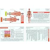 Mini Burn Reference Horizontal Badge Card Set - 4 Cards