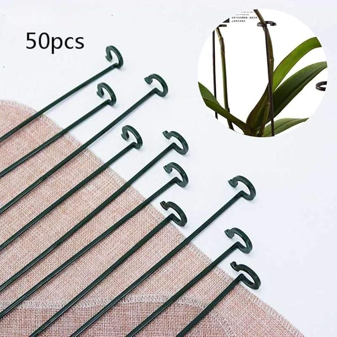LZRJQ 50 Plant Stem Support Rings, PP Garden Support