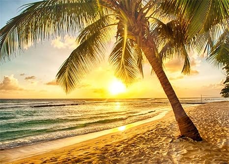 Yongfoto 3x2m Toile De Fond Plage Tableau Paysage Mer Ciel Bleu Nuages Blancs Palmier Coucher Soleil Fond Pour Photo Portrait Studio Photo Banner