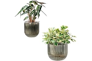 Self Watering Plant Pots for Indoor Flower Pots, 8.3/5.3 Inch 2 Pack Planters Plant Pots Indoor with Drainage for Houseplants
