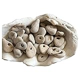 20 Small Hag Stones Collection: Natural Raw Sea